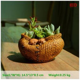 Planters Creative Succulent Pot with Cat Bamboo Basket Plant Pot Fairy Garden Decoration Flower Pot for Home