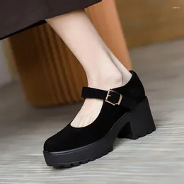 Dress Shoes Autumn Women Flock Mary Jane Thick-soled Square-heeled Female Harajuku Thick-heeled Japanese Single 2024 Pumps