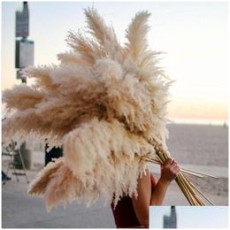 Decorative Flowers Wreaths Large Pampas Grass 48Dried Fluffy Natural Dried Home Boho Decor Country Pompas Floral Drop Delivery Garden Ot8Kg