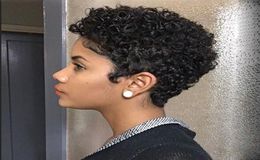 New short cut kinky curly wig brazilian Hair African Ameri Simulation human hair black kinky curl wig4458243