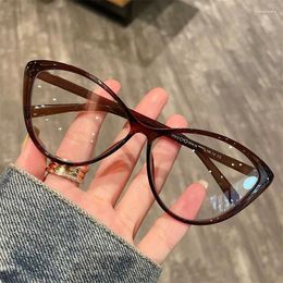 Sunglasses Trend Brand Leopard Frame Eyeglasses Women Retro Ins Anti Blue Light Cat Eye Glasses Reading Computer Eyewears Decoration