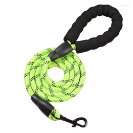 Dog Collars Pet Leash Explosion-proof Charging Reflective Round Chain Handle