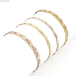 Bangle 304 Stainless Steel Twist Chains Bracelets For Women Gold/Silver Colour Snake Chain Bracelet Men Fashion Punk Jewellery 18.5cm LongL2403