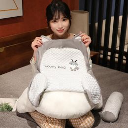 Pillow Cartoon Pillow Back Soft Bag Large Backrest Sofa Cushion Pillow Dormitory Tatami Removable Reading Rest Waist Chair Rest Back