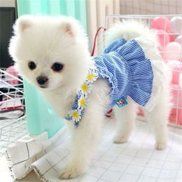 Dress Mini Blue Grid Sun Lace Spring Summer Clothes For Small Party Dog Skirt Puppy Pet Costume Pets Outfits LJ200923302x