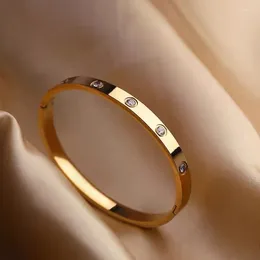 Bangle Top Designer Fashion Luxury Jewelry Bracelets 18K Rose Gold Silver Steel Diamond Bangles For