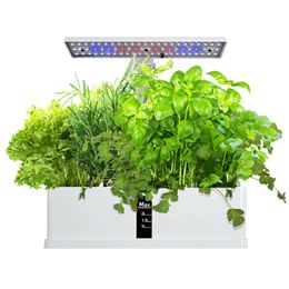 Smart Garden Hydroponics Growing System Indoor Herb Garden Kit Automatic Timing LED Grow Lights Water Pump for Home Flower Pots 240309