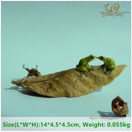 Everyday Collection Micro Mini Animals Garden Miniature Figurines Frog On Leaf Animal Action Figure Toys Ornament Accessories C190246D