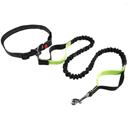 Dog Collars Premium Leash Hands Free Length Handle Bungee Adjustable Waist Belt Elastic Bungees Retractable Rope For Walking