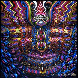 poster 32x24 17x13 Trippy Alex Grey Wall Poster Print Home Decor Wall Stickers poster Decal--061278e