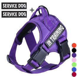 FML Pet No Pull Cat Harness with Reflective Straps Adjustable Breathable Service Dogs Vest with Handle Easy Control In Training LJ248A