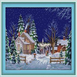 Country walks winter sonw house home decor painting Handmade Cross Stitch Embroidery Needlework sets counted print on canvas DMC 269b