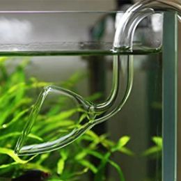 Accessories Aquarium Tank Outlet Water Outflow Lily Pipe Philtre Accessories 10mm 13mm 17mm Transparent Glass with Suction Cups