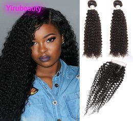 Malaysian Whole Human Hair 2 Bundles With 44 Lace Closure Part Kinky Curly 3 Pieceslot Mink Afro Kinky Curly 828inch3369746