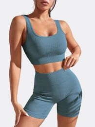 Seamless Ribbed Yoga Sets Women 2 Pieces Shockproof Sports Bra High Waist Yoga Shorts Outfits Running Fitness Workout Set 240304