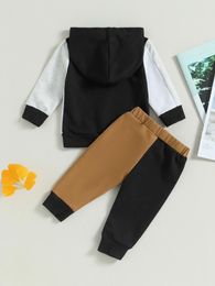 Clothing Sets Baby Girls 2 Piece Outfit Set Floral Print Long Sleeve Hoodie Sweatshirt And Elastic Pants For Toddler