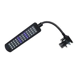 Lightings 12V 48 LEDs Aquarium Light Aquatic Lighting Waterproof Clipon Lamp Blue and White Light for Fish Tank (EU Plug Black)