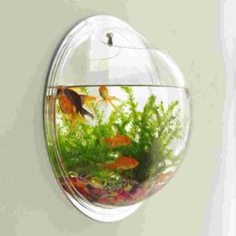 Tanks Betta Fish Tanks Clear Pot Decorations Clear Wall Bowl Hanging Planter Vase Small Wallmounted Pot Acrylic Flower Vases