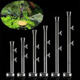 Feeders Shrimp Feeding Tube Aquarium Clear Glass Fish Food Feeder For Aquarium Fish Tank Fish Food Feeding Tube With 2pcs Suction Cups