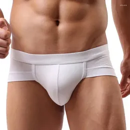 Underpants 2024 Men's Sexy Breathable Brief Men Comfortable Briefs Underwear Cotton Shorts Cueca Man Male Panties