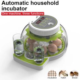 Accessories 8 Eggs Incubator with Auto Eggturning, Auto Water Refill, Auto Temperature Control,for Hatching Chicken Goose Pigeon Quail Duck