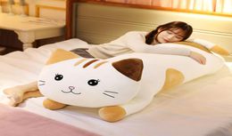 cute cat plush toy big fat kitten doll sleeping pillow for kids birthday gift sofa bed decoration 120cm 150cm DY508797562498