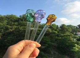 Pyrex Smoking Pipe Oil Burner Water Pipes Bubbler Skull Smoking Hand Pipes Curved Mini Smoking Pipes3223841