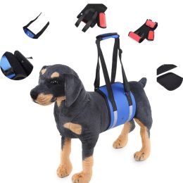 Equipment Adjustable Dog Belt with Reflective Strips, Pet Assistance Belt, Hind Leg Support Strap, Oxford Cloth Breathable Double Fixation