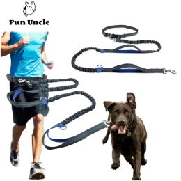 Leashes Hands Free Dog Leash for Running, Walking, Hiking, DualHandle, Bungee Leash with Reflective Stitching, Adjustable Waist Belt