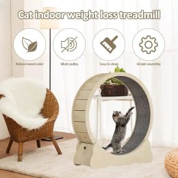Repellents Cat Wheel Treadmill Wood Wooden Tread Exercise Running Small Dog Training AntiDepression Indoor Pet Sports for Kitten Puppy Toy