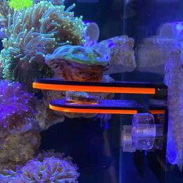 Parts Aquarium Acrylic Fluorescent Coral Growing Holder SPS Brackets Tool Fish Tank Coral Marine Reef Stand Tank Landscaping pecera