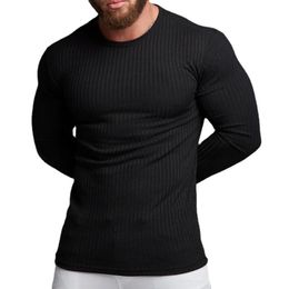 Autumn Mens Top Sports Fitness Leisure Stretch Vertical Round Neck Long Sleeve T-shirt Men Clothing Plain Tees 240305