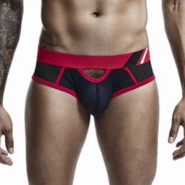 Underpants Patchwork Men's Underwear Sport Colour Block Gay Sexy Comfort Soft Breathable Ropa Interior Hombre