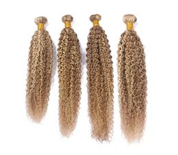 Kinky Curly 27613 Highlight Mixed Piano Color Virgin Brazilian Human Hair Bundles Double Wefts 4Pcs Piano Mix Color Human Hair E7125669