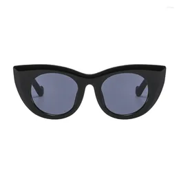 Sunglasses Fashion Cat Eye Ins Retro Candy Colour Versatile Street Po Sun Glasses Thick Frame Design Resistant