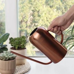 Cans 1500ml Long Mouth Stainless Steel Watering Can Pot for Succulent Bonsai Plants Sprinkler Gardening Tools