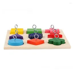 Other Bird Supplies Pet Educational Toys Parrot Interactive Training Colourful Wooden Block Birds Puzzle Toy Accessories