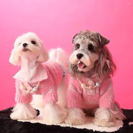 Dog Apparel Autumn And Winter Pet Sweater Small Clothes Yorkshire Terrier Schnauzer Puppy Designer Cat Dogs Accessories