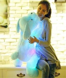 1pc 50cm luminous dog plush doll colorful LED glowing dogs children toys for girl kidz birthday gift WJ445 LJ2009021711455