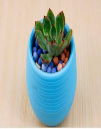 DHL Colourful Plant Pot Plastic Round Sucuulent Plant Pot Home Office Desktop Garden Deco Garden Pots Gardening Tool2505730
