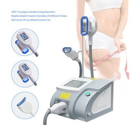 2024 Newest Spa Home Use Fat Freezing Cryolipolysis Machine with 3 Handles