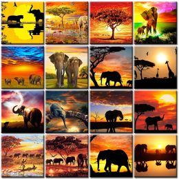 Number Painting By Number Adult Kit With Frame Elephant Adult Landscape Diy HandPainted Color Oil Paint Home Wall Art Picture For Decor