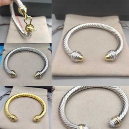 Kadın Bilezikler Cazibe Lüks Kaliteli Bileklik Bileklik Tasarımcı Yüksek Takı Erkek Kadın Kablosu Klasik Bucklebracelet 14K Gold 925 Sterlling Gümüş