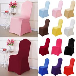 12 color thick spandex elastic chair cover for wedding party banquet decoration universal chair cover 240314