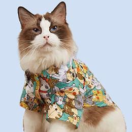 Instagram Style Products Trend Cute Pet Summer New Dog Clothing Cat Shirt