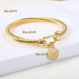 Bangle Titanium Steel Bangle Cable Wire Gold Color Love Heart Charm Bangle Bracelet Jewelry Bracelet Hook Closure For Women Men Wedding Jewelry Gifts Stores 2024