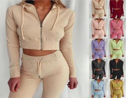 2020 Women Clothes Two Piece Sets 2 piece set womens sweat suits Plus Size Jogging Sport Suit Soft Long Sleeve Tracksuit Sportswea3427198