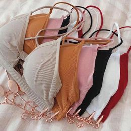 Canottiere Canottiere Reggiseno incrociato sexy Top a tubo Bralette Donna Crop Lingerie femminile Beauty Back Intimo Intimo imbottito senza cuciture