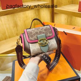 Hot Designer Handbag in Europe and America French Niche Bag for Women New Printed Crossbody Versatile Foreign Style Small Square Broadband Shoulder Bag