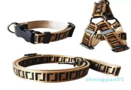 Luxury Dog Collars Leashes Set Designer Dog Leash Seat Belts Pet Collar and Pets Chain for Small Medium Large Dogs Cat Chihuahua P6012207